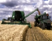85% от ечемика и 27% от пшеницата ожънати 