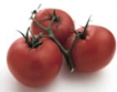 Холандия, Мексико и Испания изнасят най-много домати