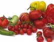 647 лв. кредити за производители на домати и пипер