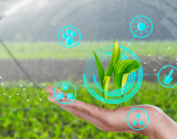BASF: 10-год. план за иновации в земеделието