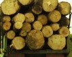 Недостигът на дървесина пречи на мебелния сектор