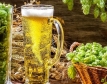 Расте интересът към безалкохолната бира
