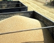 Грузия забрани износа на пшеница