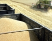 Украйна изнася по-малко зърно