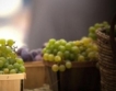Нерегламентиран внос на грозде от Румъния