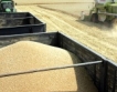 България стана буферен зърнен склад