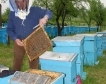 Kaufland дава стипендии на любители-пчелари