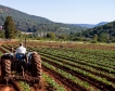 Българското земеделие получава 5.6 млрд. евро