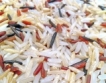 Суша пречи на производството на ориз