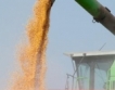 Полша: Засилен контрол над украинското зърно