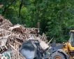 Рециклиране спаси близо 500 млн. дръвчета