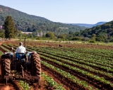 БАК: Сектор "Селско стопанство" пред крах