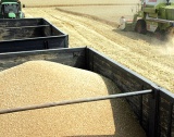 Хърватия очаква по-ниски добиви на зърно