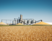 Украйна изнесе 820 000 тона зърно през август