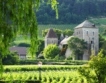 Франция: 2% спад в производството на вино