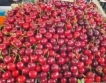 Германия:По-слаба реколта от череши и вишни
