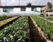 Куба внася все повече храни