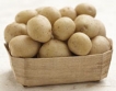 В България не се отглеждат ГМО картофи