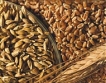  Световните цени на зърното падат 