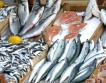 Варна най-после има рибна борса
