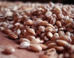 Русия окончателно забрани износа на зърно