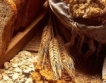 Понижение на цените на зърнените стоки