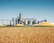 Най-големите производители на зърно в ЕС