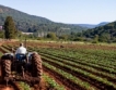 ЕС:Производителността в селското стопанство намаляла