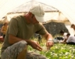 ДФЗ: Нови 295 млн.лв. помощи за земеделците