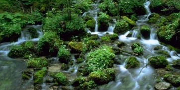 Каква вода пием?
