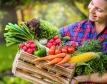 Още повишение на цените на храните