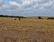 Започна ловният сезон на пернати