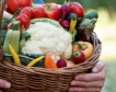 По-високи цени на земеделската продукция в ЕС