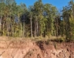 7,5% спад на производствените цени в горското стопанство