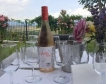 Вино от Долината на Струма 