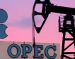 ОПЕК:Без промяна в световното търсене на петрол