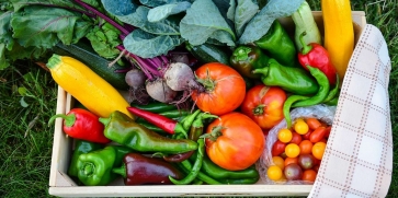 Плодовете и зеленчуците поскъпват още