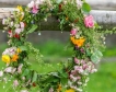 Българската флора съдържа 770 вида са лечебни растения 