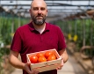 1 200 т. български домати ще продаде Kaufland