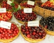 Двойно по-голяма реколта от череши, кайсии и праскови