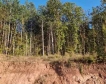 Забравените уроци: от порои до горски пожари