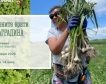 Отворени врати на биологичното стопанство „ВКУСнаГРАДИНА“ 