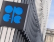 ОПЕК:Петролът ще стигне $88,21 за барел