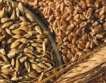 Сърбия  ще внася пшеница, хлябът поскъпва вероятно