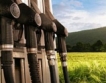 Биодизел с огромен ръст в България