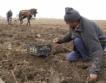 Нови 3.4 млн. лв. субсидии за картофи