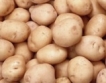 Интерес към субсидията за картофи