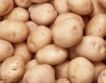 Варна: Дъждът вдигна цената на картофите