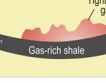 БАН „за” шистовия газ и Chevron