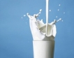 От 1 септември стартира схема „Училищно мляко”